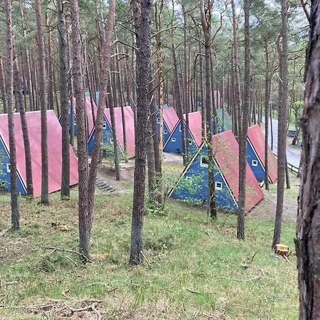 Urlaub Im Grünen, Finnhütte Versteckt Zwischen Bäumen Und Dünen - Carla Сasa de vacaciones